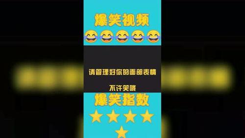 好玩的视频